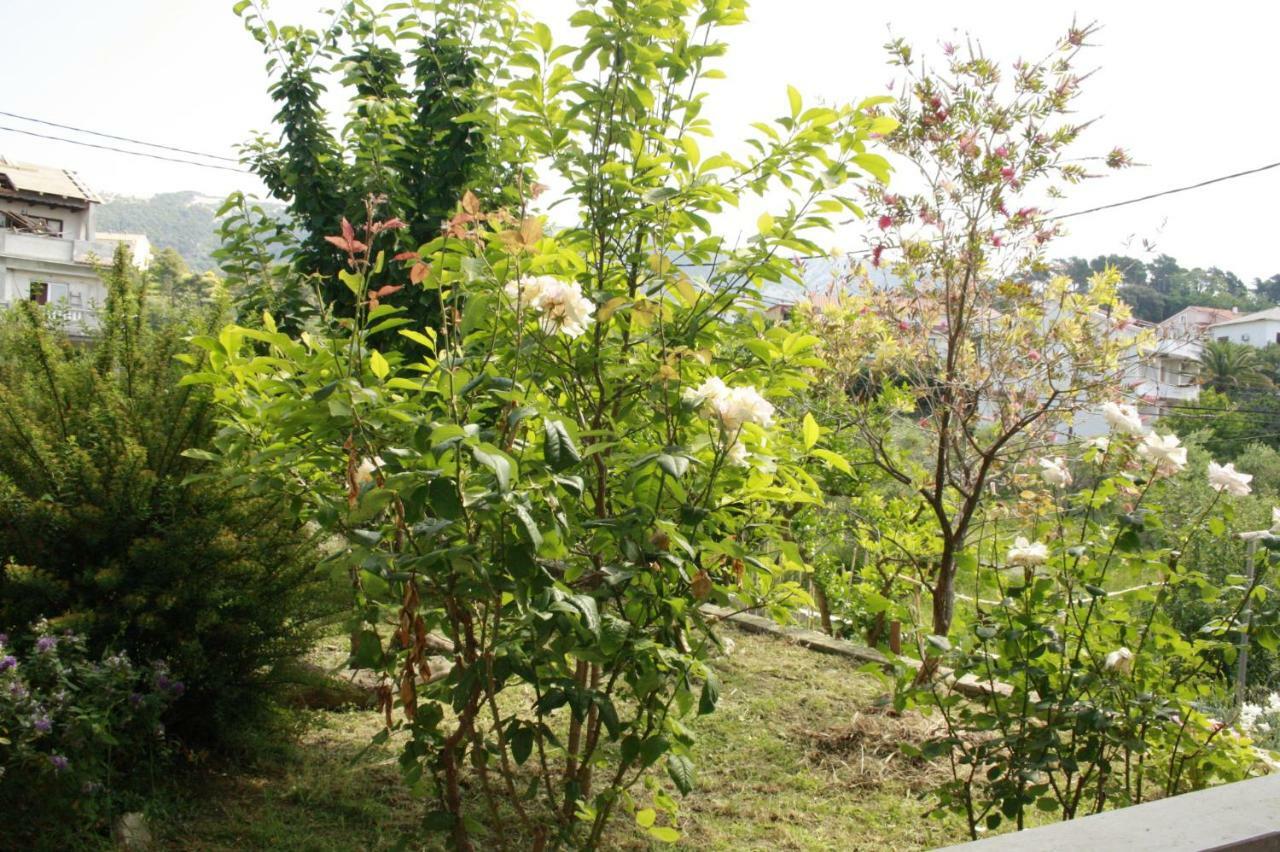 Guesthouse Matusan'S Place Banjol Exterior photo